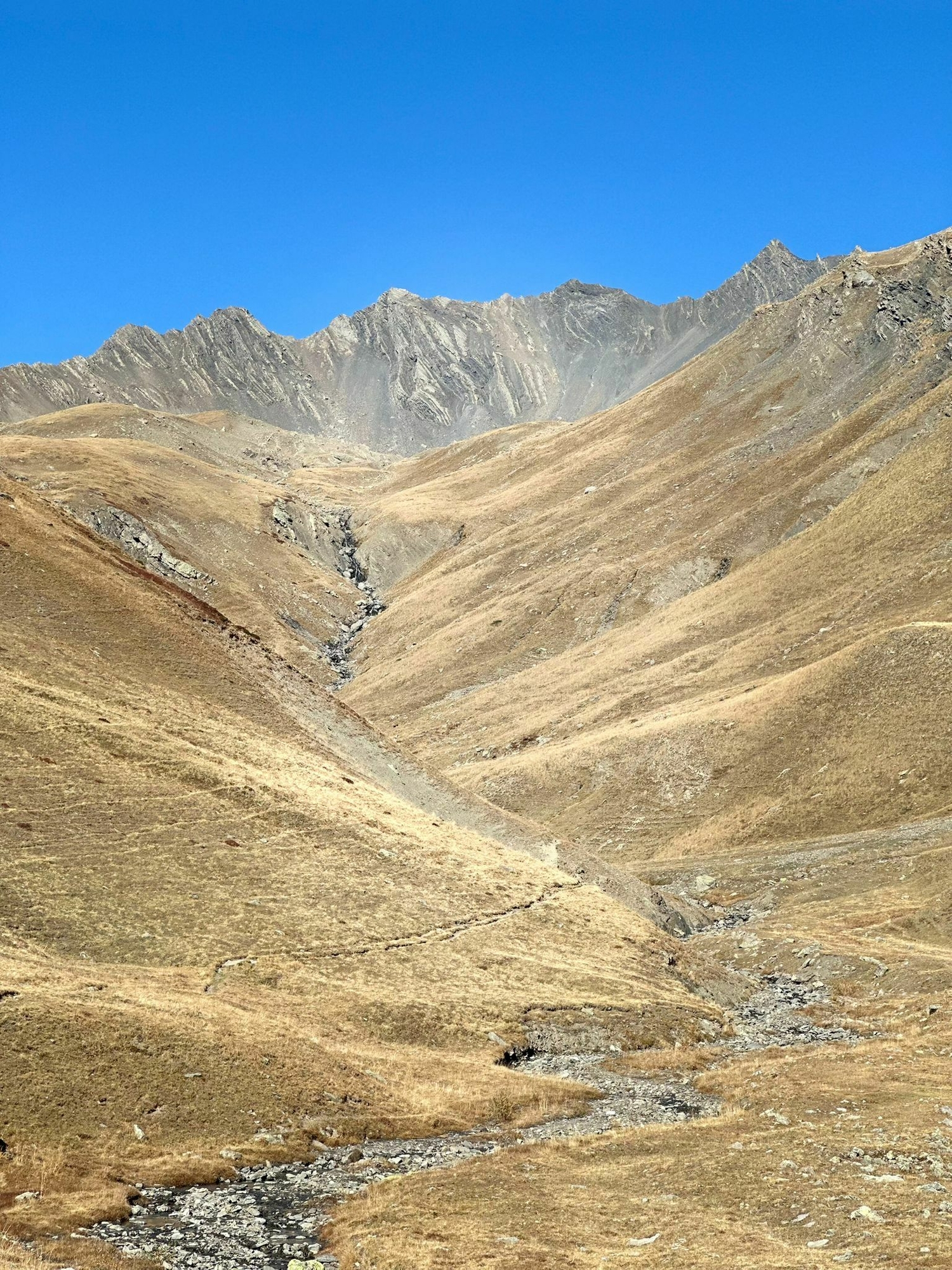 Whats App Image 2025 10 18 at 11 44 32 2