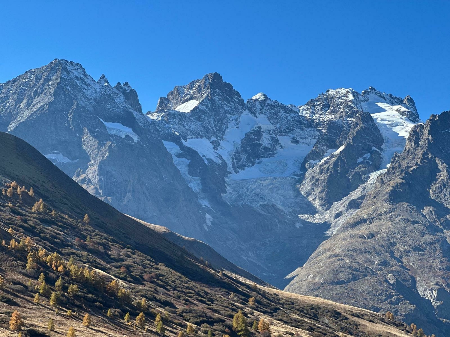 Whats App Image 2025 10 18 at 11 50 22 4